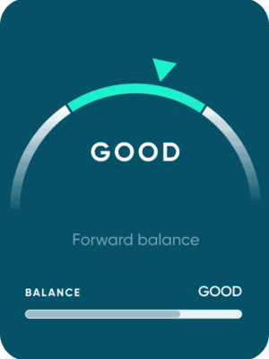 Your balance
